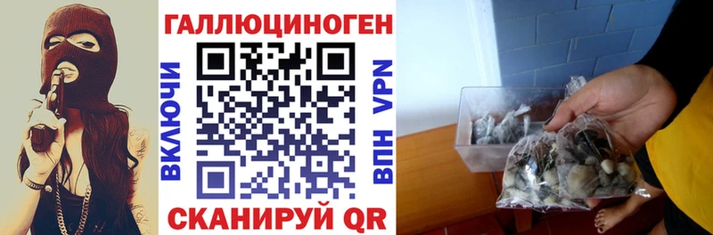 Галлюциногенные грибы ЛСД  Кохма 
